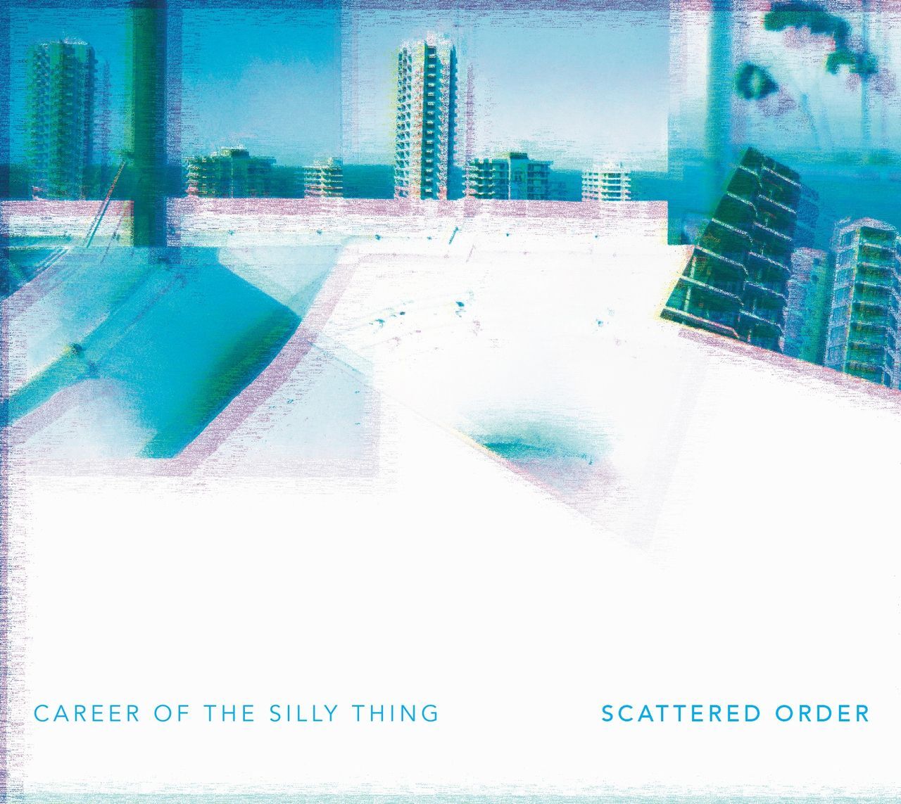 Career of the Silly Thing