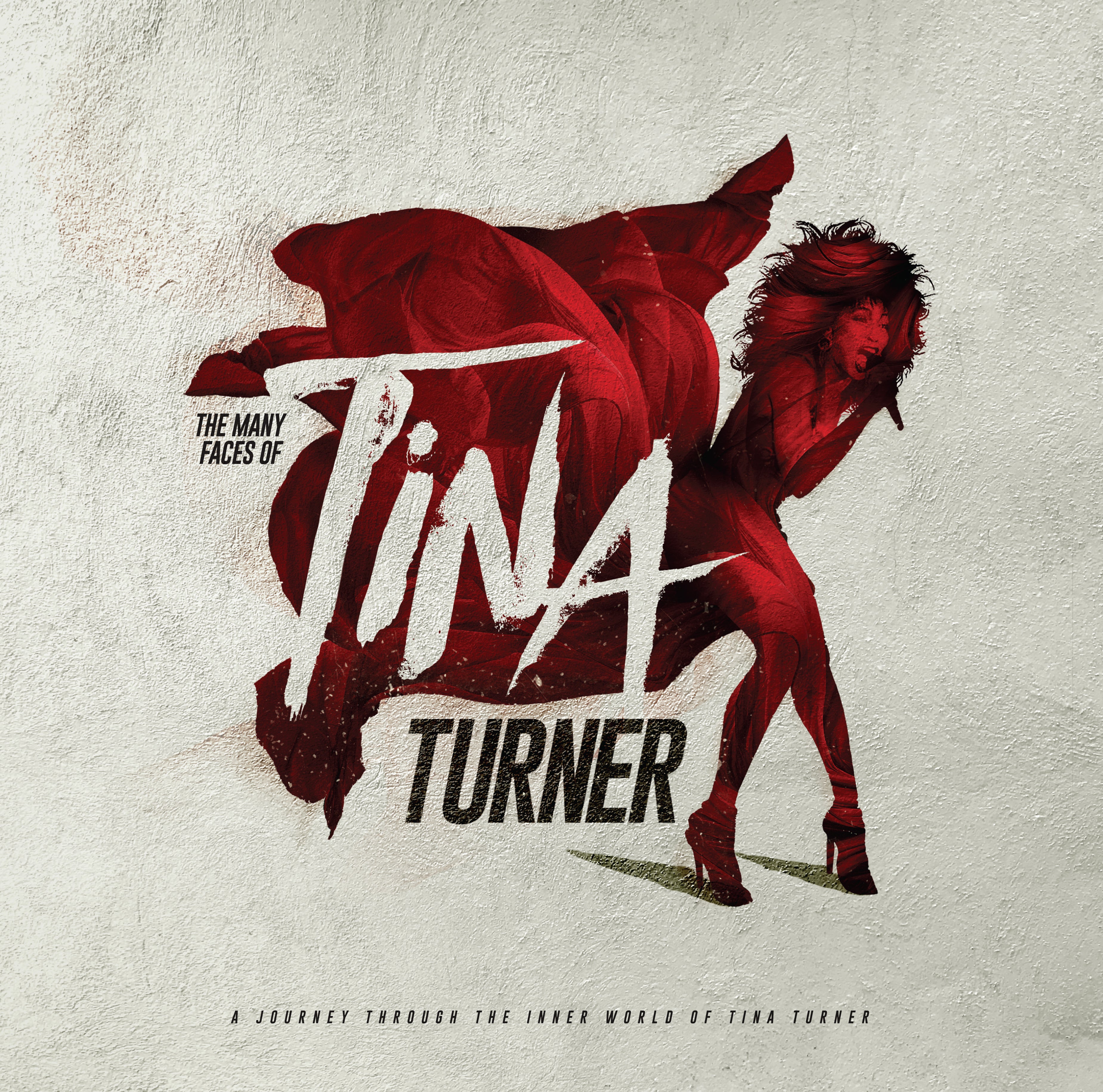 The Many Faces of Tina Turner