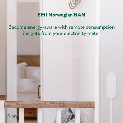 Frient Emi Norwegian Han