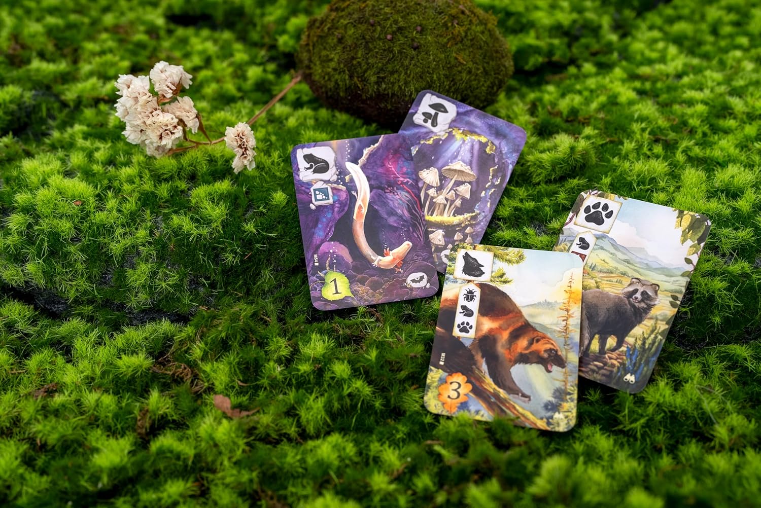 Rebel | Meadow: Adventure Book | Story-Book Game | Ages 10+ | 1-4 Players | 60-90 Minutes Playing Time