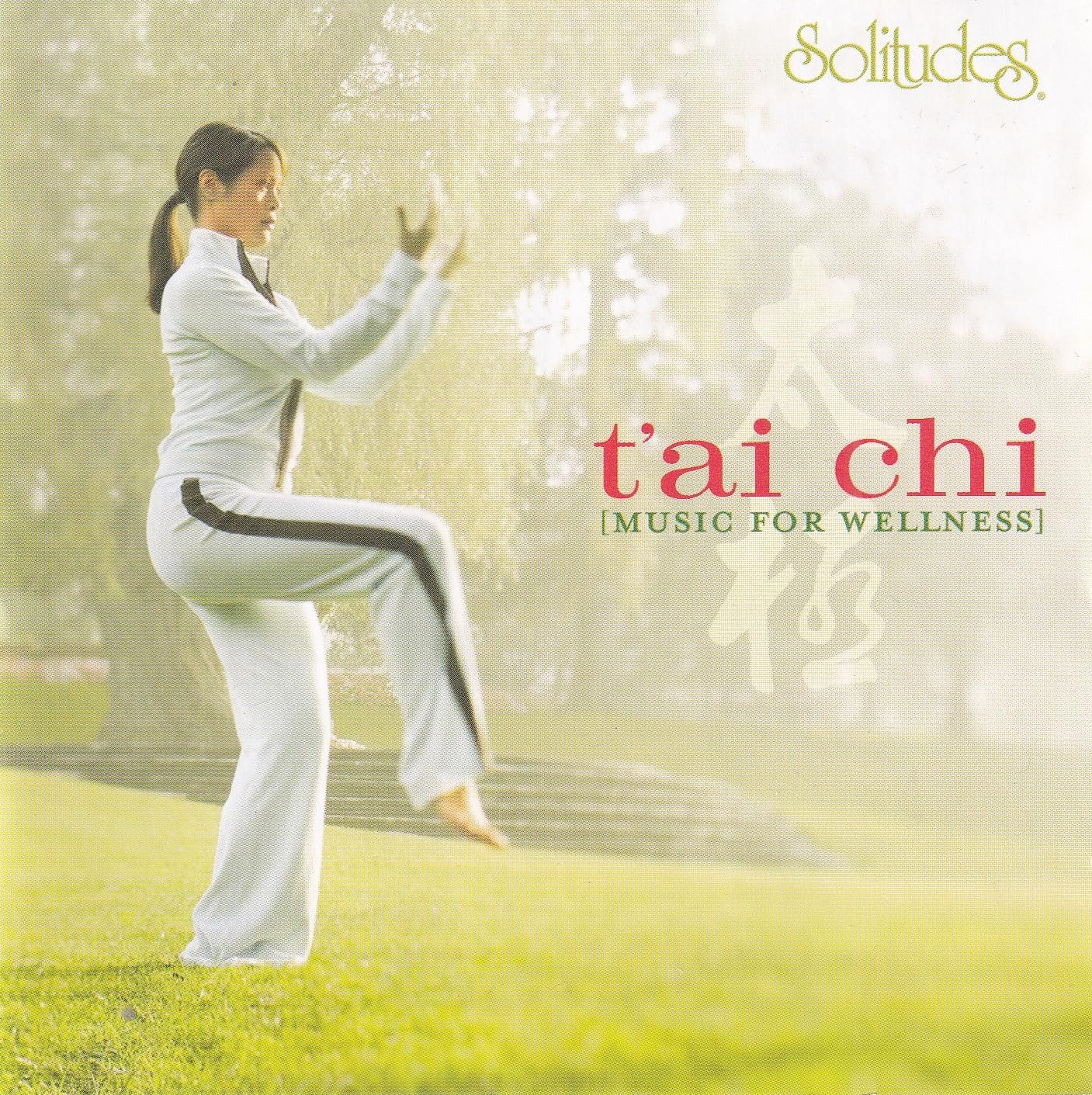 T Ai Chi