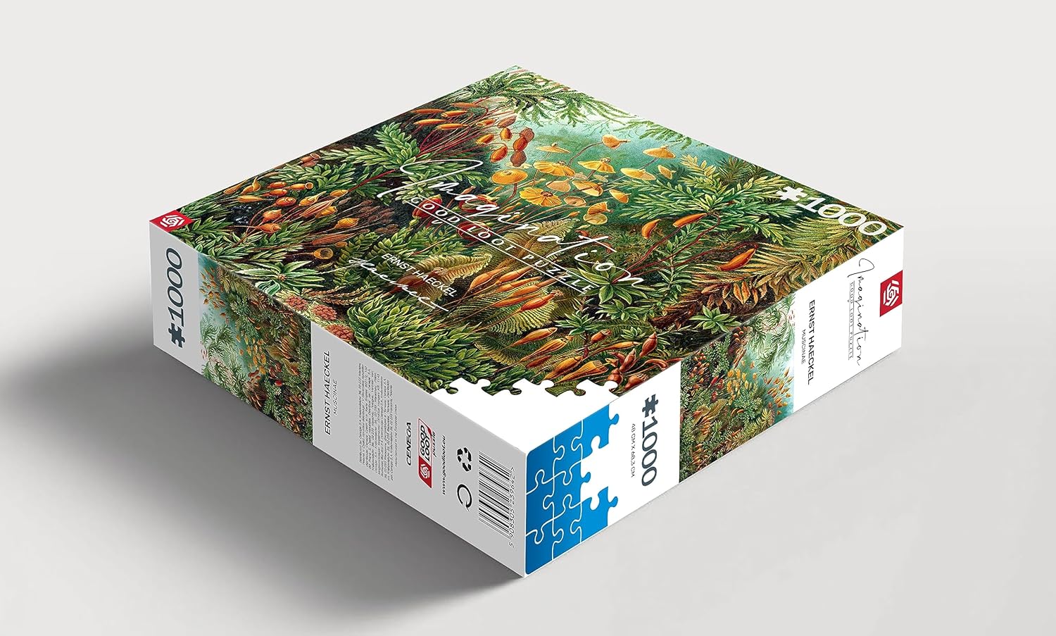 Good Loot Jigsaw Puzzle Imagination Series Ernst Haeckel Muscinae Detailed Picture Bright Colors Durable Product Numerous Hours of Fun Family Entertainment 1000 pieces | 68 x 48 cm