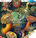Good Loot Rompecabezas Serie Imagination Ernst Haeckel Sea Anemones – Rompecabezas clásicos – Arte de rompecabezas con imagen de 1000 piezas – Rompecabezas para adultos – Rompecabezas Arte 1000 piezas
