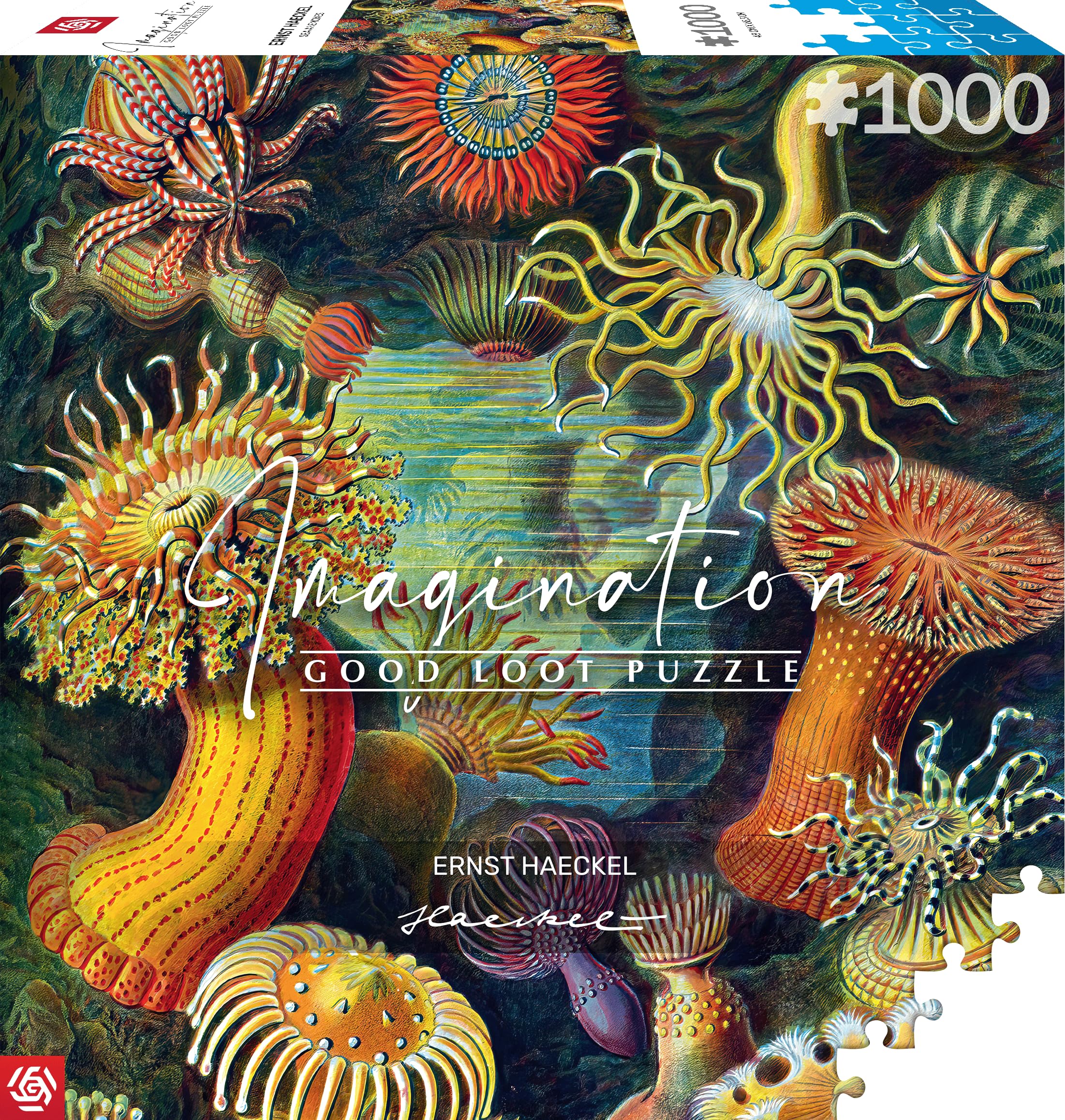 Good Loot Rompecabezas Serie Imagination Ernst Haeckel Sea Anemones – Rompecabezas clásicos – Arte de rompecabezas con imagen de 1000 piezas – Rompecabezas para adultos – Rompecabezas Arte 1000 piezas