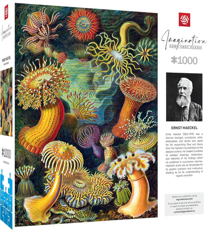 Good Loot Rompecabezas Serie Imagination Ernst Haeckel Sea Anemones – Rompecabezas clásicos – Arte de rompecabezas con imagen de 1000 piezas – Rompecabezas para adultos – Rompecabezas Arte 1000 piezas