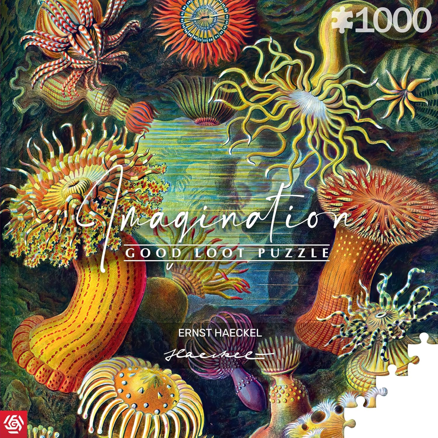 Good Loot Rompecabezas Serie Imagination Ernst Haeckel Sea Anemones – Rompecabezas clásicos – Arte de rompecabezas con imagen de 1000 piezas – Rompecabezas para adultos – Rompecabezas Arte 1000 piezas