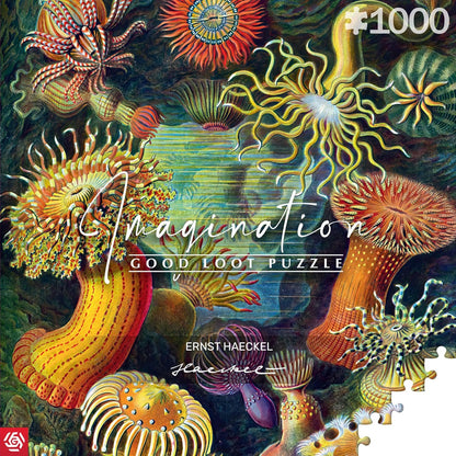 Good Loot Rompecabezas Serie Imagination Ernst Haeckel Sea Anemones – Rompecabezas clásicos – Arte de rompecabezas con imagen de 1000 piezas – Rompecabezas para adultos – Rompecabezas Arte 1000 piezas