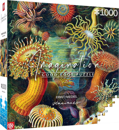 Good Loot Rompecabezas Serie Imagination Ernst Haeckel Sea Anemones – Rompecabezas clásicos – Arte de rompecabezas con imagen de 1000 piezas – Rompecabezas para adultos – Rompecabezas Arte 1000 piezas