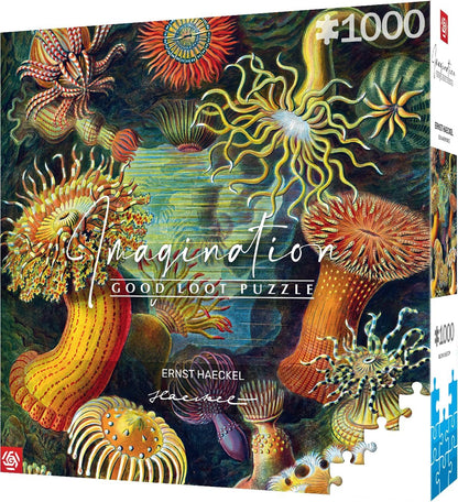 Good Loot Rompecabezas Serie Imagination Ernst Haeckel Sea Anemones – Rompecabezas clásicos – Arte de rompecabezas con imagen de 1000 piezas – Rompecabezas para adultos – Rompecabezas Arte 1000 piezas