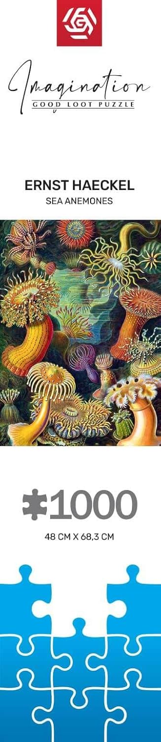 Good Loot Rompecabezas Serie Imagination Ernst Haeckel Sea Anemones – Rompecabezas clásicos – Arte de rompecabezas con imagen de 1000 piezas – Rompecabezas para adultos – Rompecabezas Arte 1000 piezas