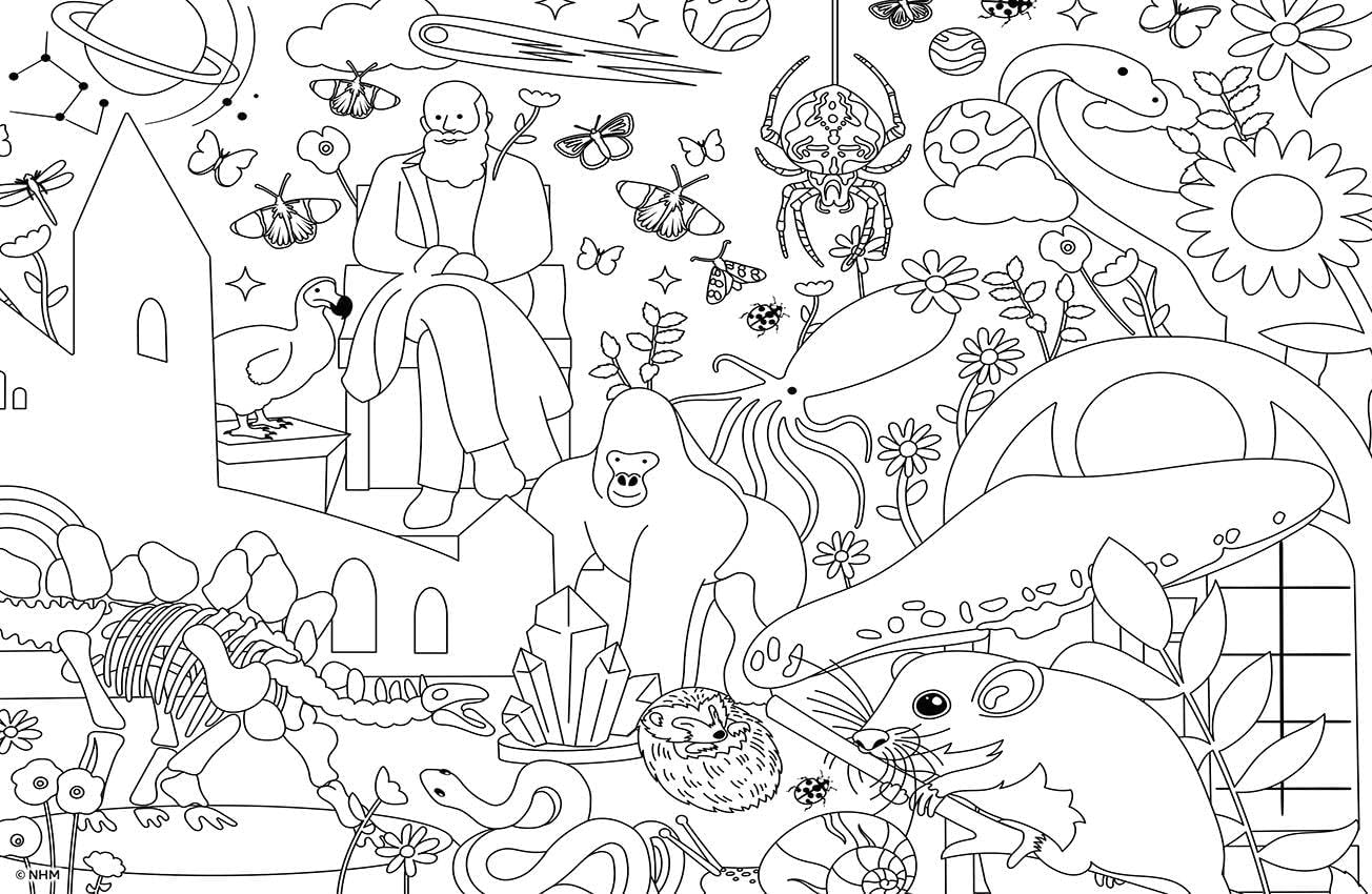 Natural History Museum Colouring Jigsaw Set – 2 x 100 Piece Puzzles with 6 Colouring Pencils – Fun & Educational Activity for Kids