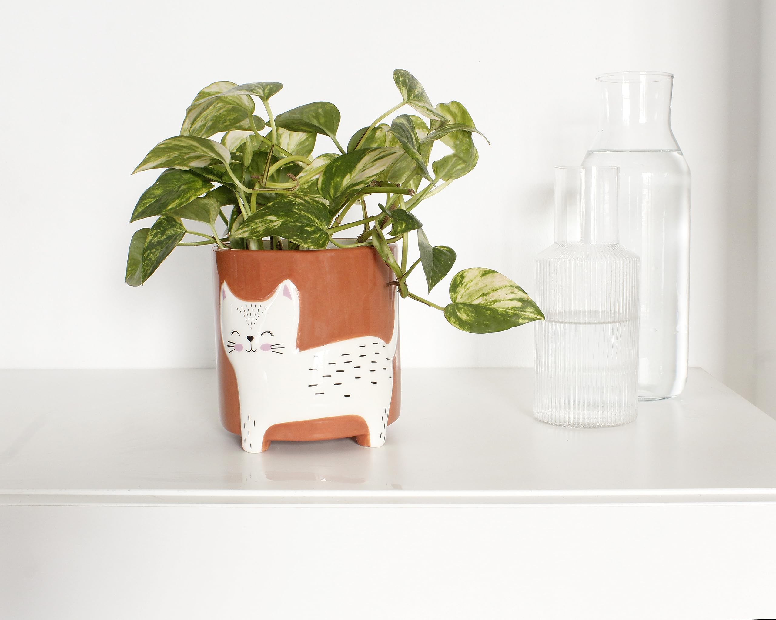 Winkee - Flower Pot Bowl - Flower Pot Cat - 13 Cm