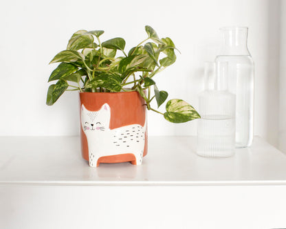 Winkee - Flower Pot Bowl - Flower Pot Cat - 13 Cm