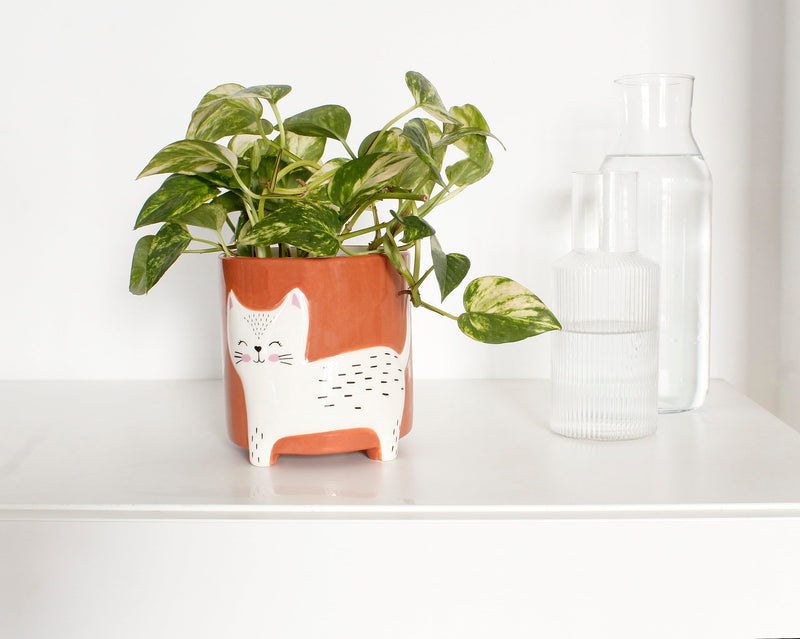 Winkee - Flower Pot Bowl - Flower Pot Cat - 13 Cm