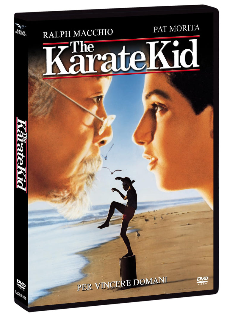 The Karate Kid - Per Vincere Domani