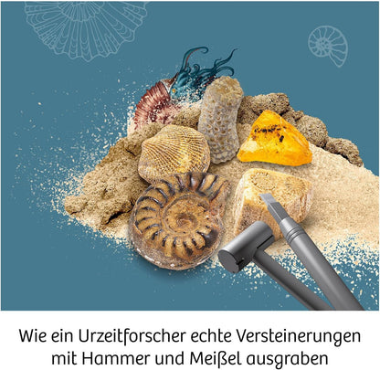 KOSMOS 617226 Fossilien Ausgrabungs-Set, Grabe echte Versteinerungen und Bernstein selbst aus, mit Hammer und Meißel, Experimentierset für Kinder ab 7 Jahre, mehrsprachige Anleitung