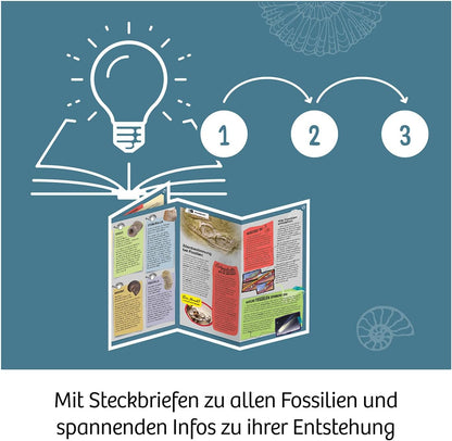 KOSMOS 617226 Fossilien Ausgrabungs-Set, Grabe echte Versteinerungen und Bernstein selbst aus, mit Hammer und Meißel, Experimentierset für Kinder ab 7 Jahre, mehrsprachige Anleitung