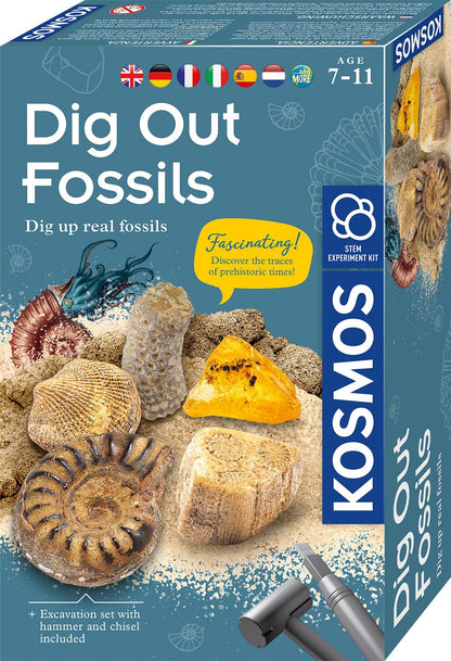 KOSMOS 617226 Fossilien Ausgrabungs-Set, Grabe echte Versteinerungen und Bernstein selbst aus, mit Hammer und Meißel, Experimentierset für Kinder ab 7 Jahre, mehrsprachige Anleitung