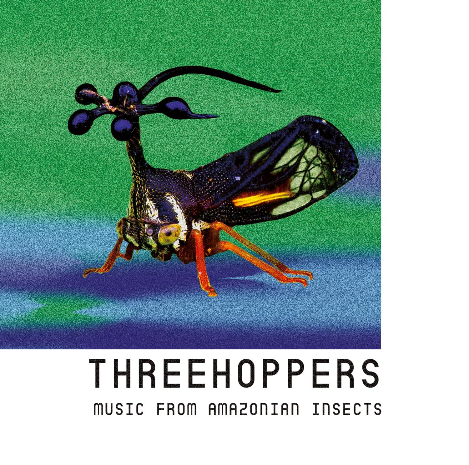 Threehoppers