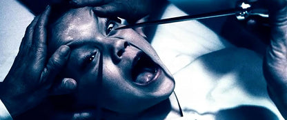 Asylum tal ed