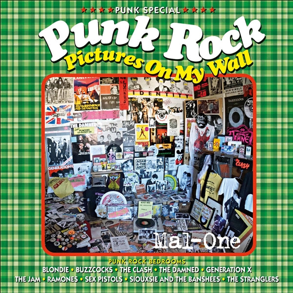 Punk Rock Pictures On My Wall Book