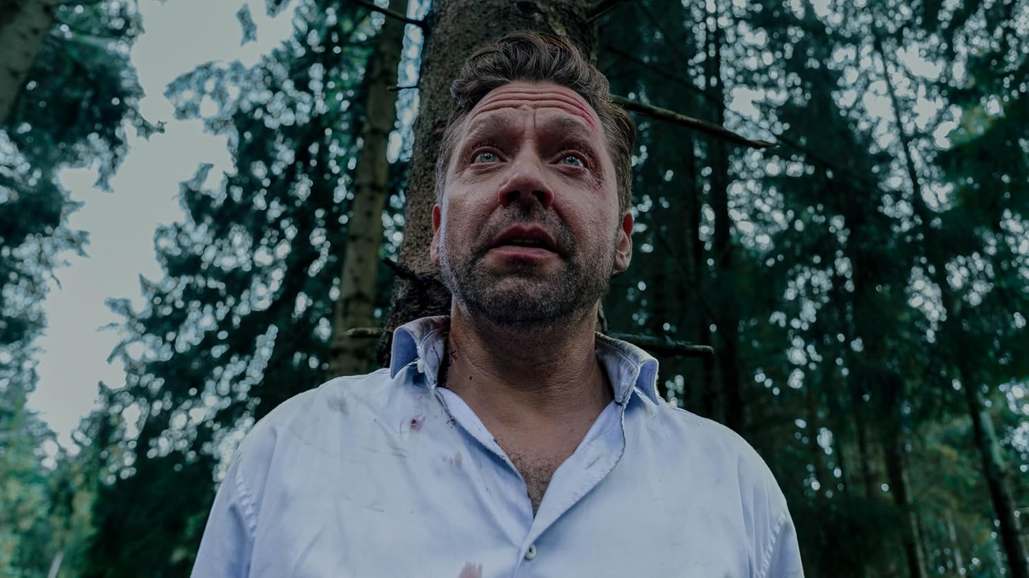 SOLERMANN, MARC - BARK ¿ NICHTS BLEIBT VERBORGEN
