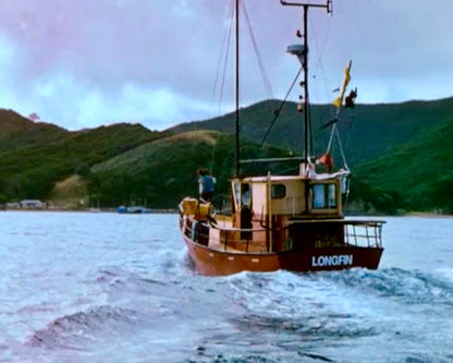 Der Flug des Albatros / Spannendes Neuseeland-Abenteuer mit Starbesetzung (Pidax Film-Klassiker