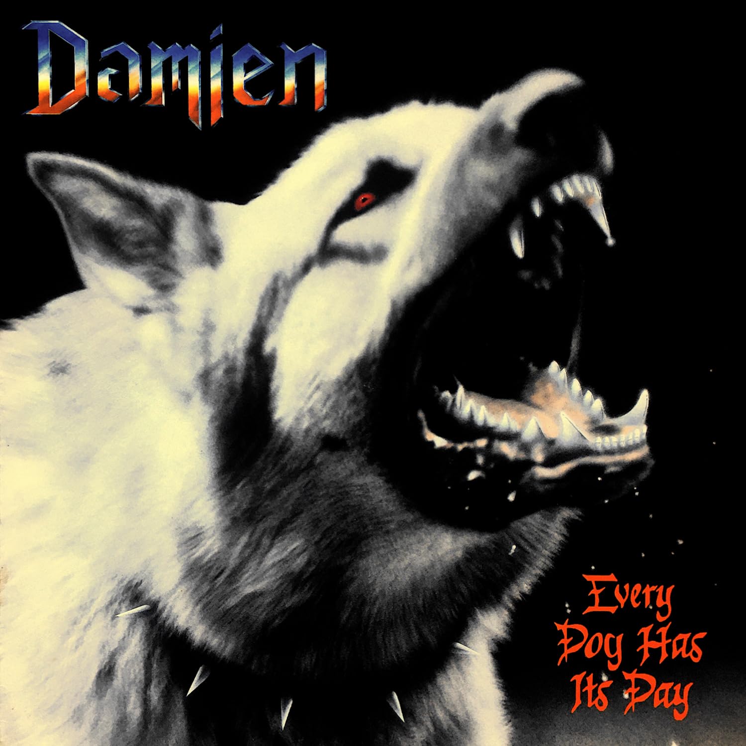 Every Dog Has Its Day