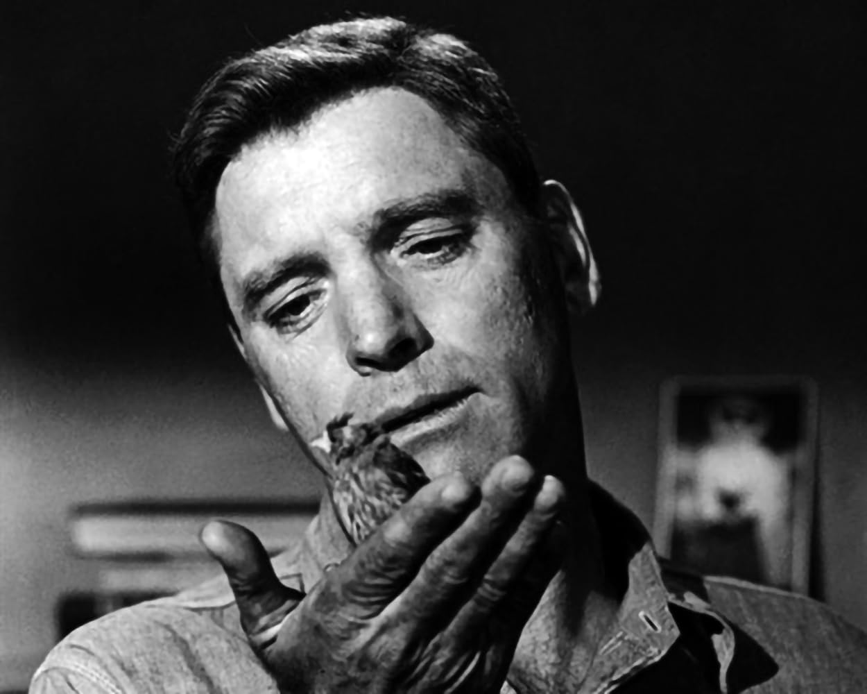 Der Gefangene von Alcatraz (Birdman of Alcatraz) / Mit dem Prädikat BESONDERS WERTVOLL ausgezeichneter Kultfilm mit Starbesetzung (Pidax Historien-Klassiker