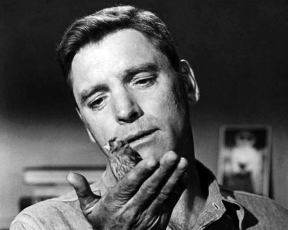 Der Gefangene von Alcatraz (Birdman of Alcatraz) / Mit dem Prädikat BESONDERS WERTVOLL ausgezeichneter Kultfilm mit Starbesetzung (Pidax Historien-Klassiker