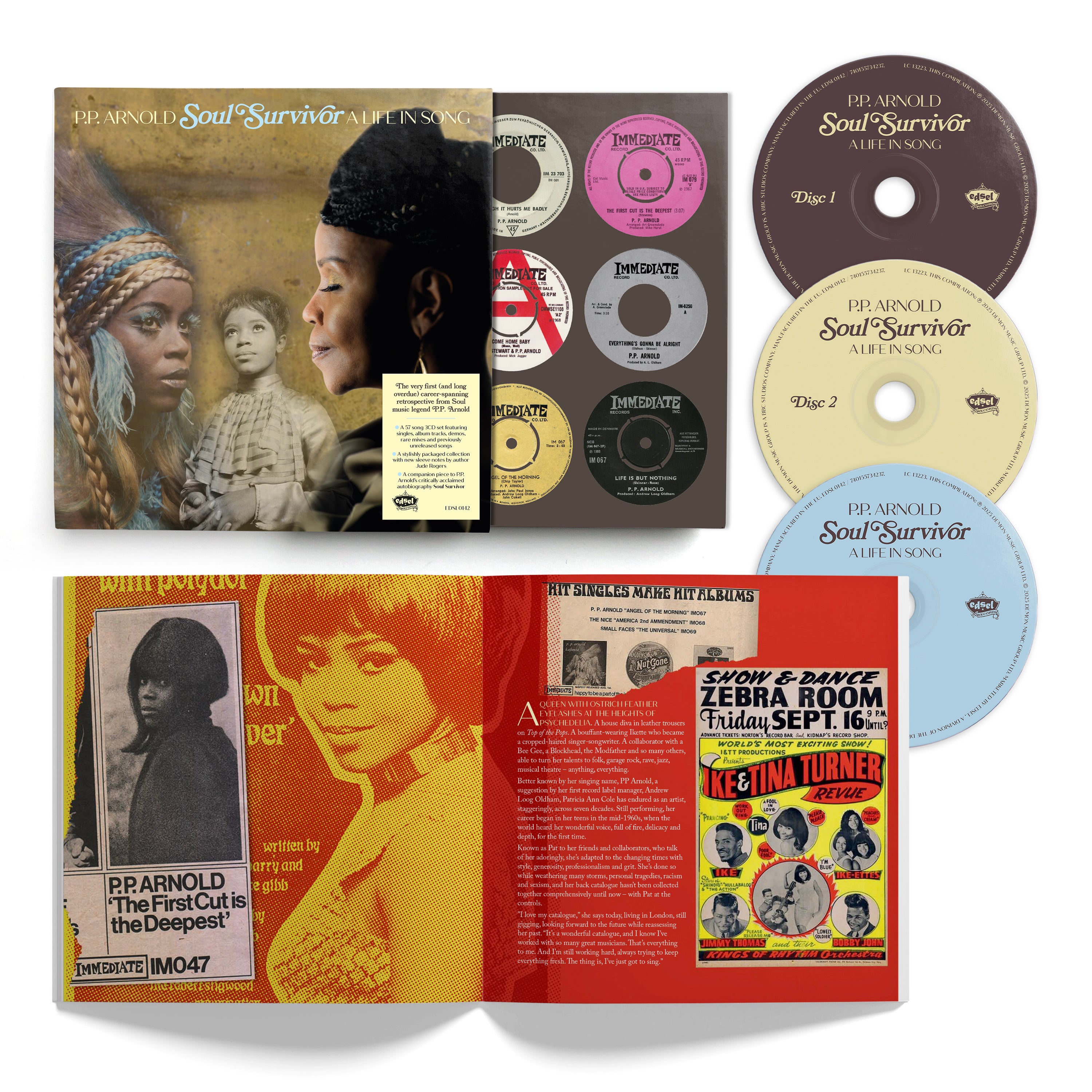 Soul Survivor: A Life in Song