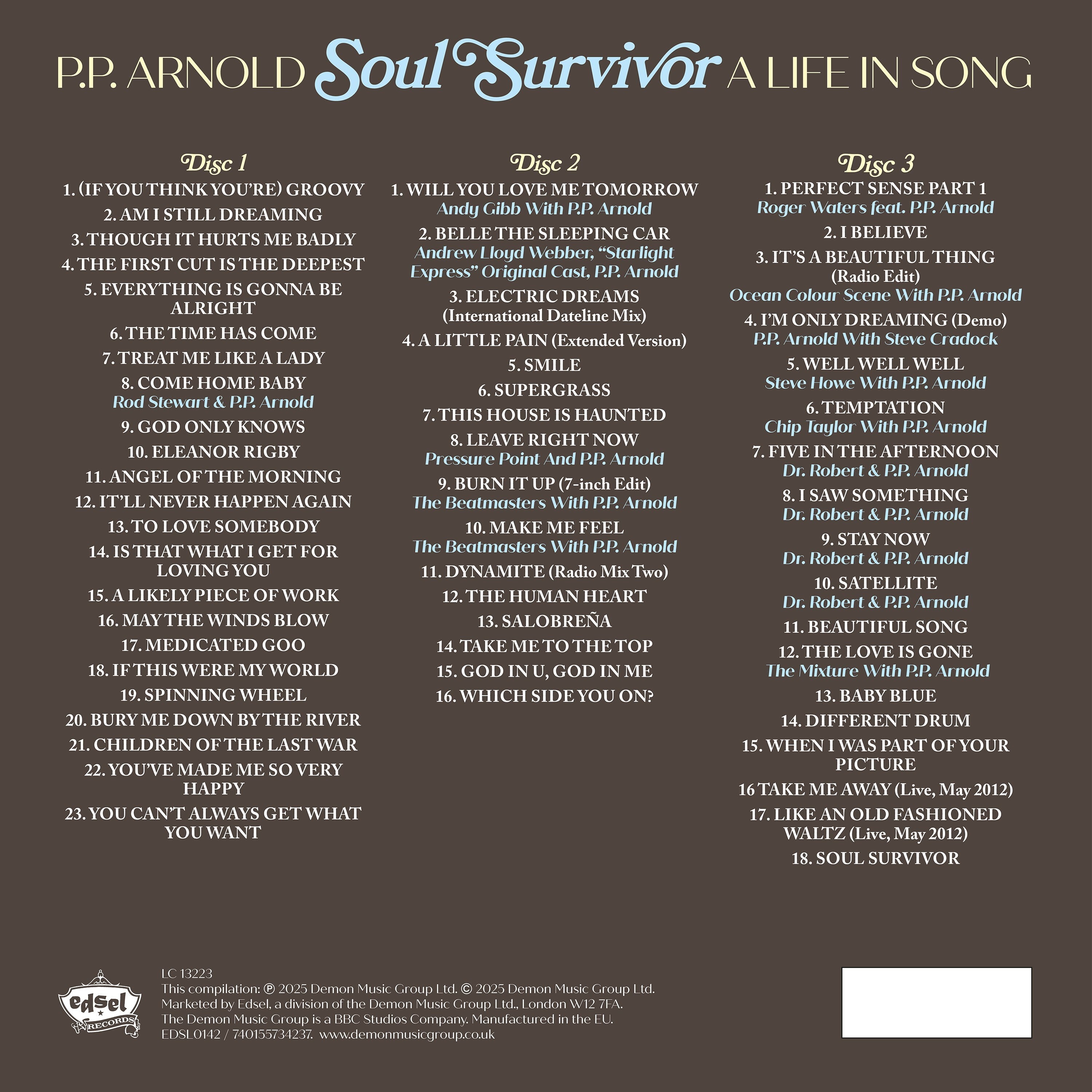 Soul Survivor: A Life in Song