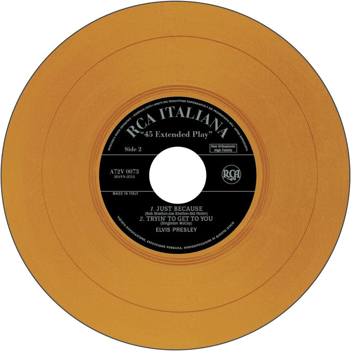 Il Re Del Rock 'N' Roll