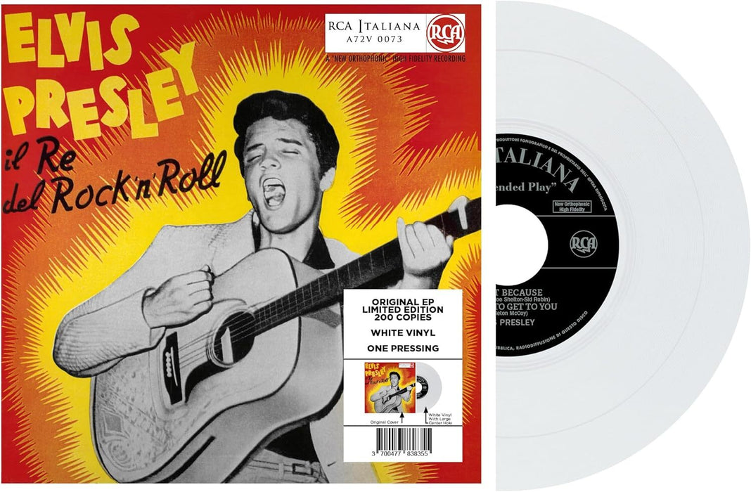 Il Re Del Rock 'N' Roll