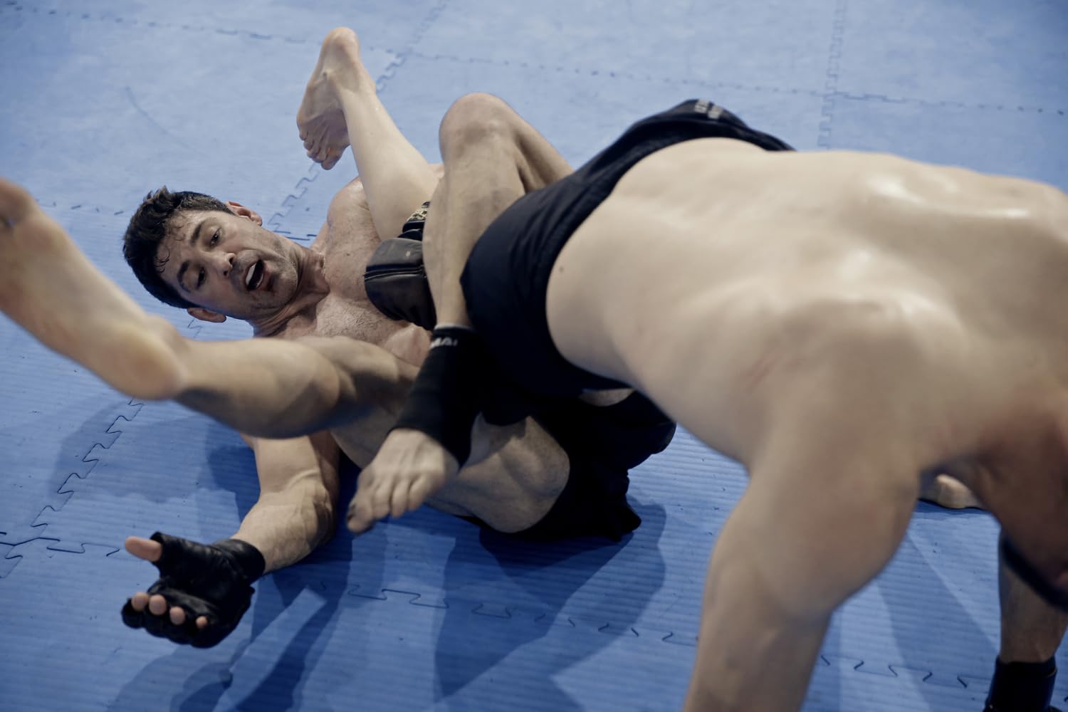 Life After Fighting