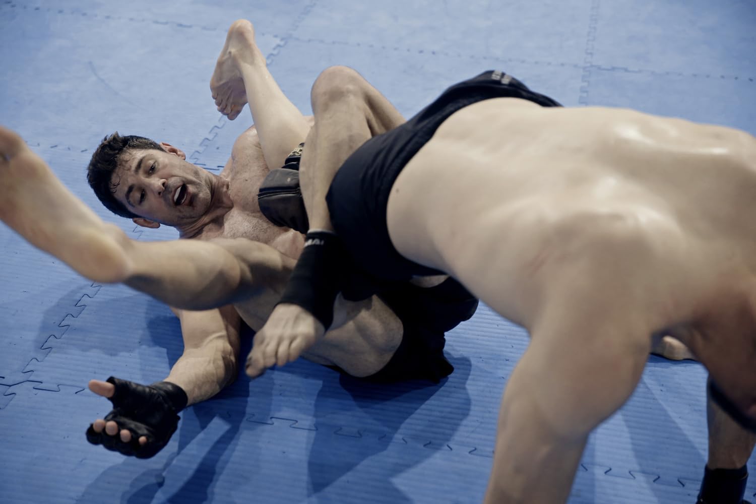 Life After Fighting