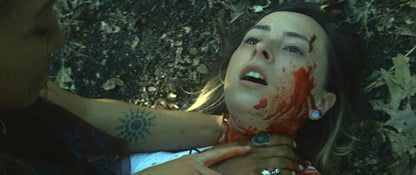 Wolf Hollow