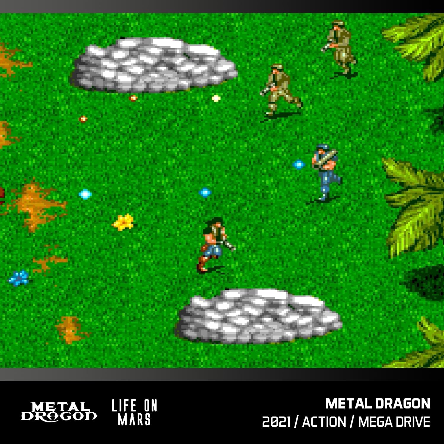 Metal Dragon/Life on Mars Collection
