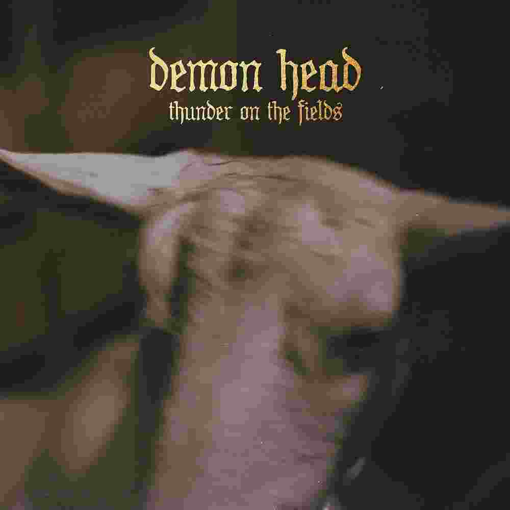 Thunder On The Fields LP Silver