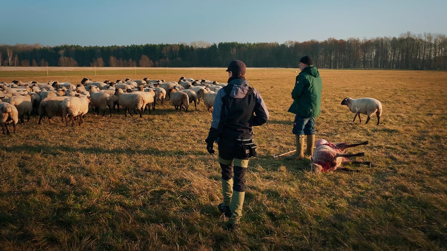 BUCHELER, RALF - IM LAND DER WOLFE