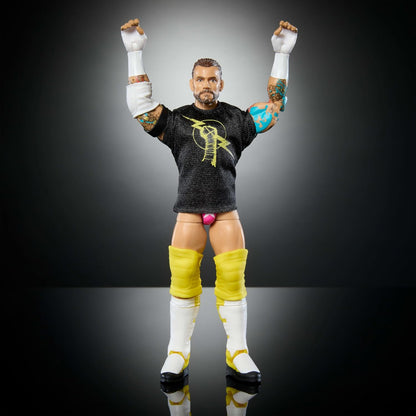 Mattel WWE Elite Collection - CM Punk, personaggio collezionabile Series 113, action figure articolata e con mani intercambiabili, giocattolo per bambini, 8+ anni, JCH87