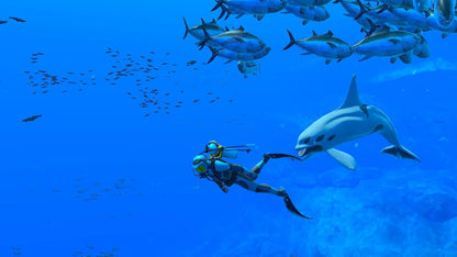 Endless Ocean Luminous + 7 giorni di NSO - Videogioco Nintendo - Ed. Italiana - Versione su scheda