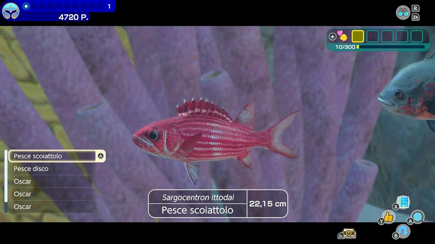 Endless Ocean Luminous + 7 giorni di NSO - Videogioco Nintendo - Ed. Italiana - Versione su scheda