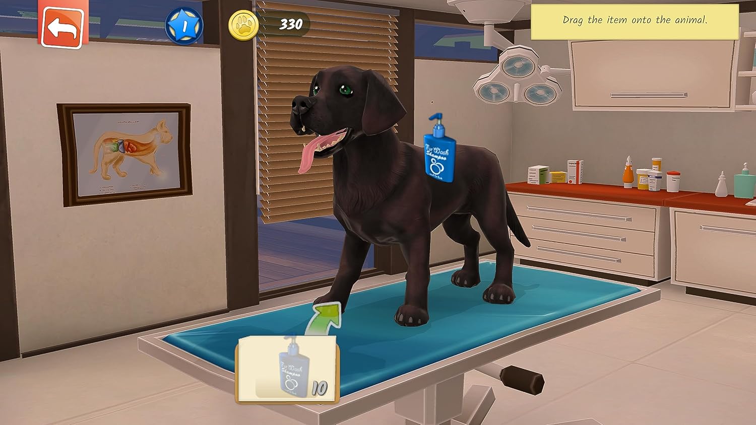 Animal Hospital Switch