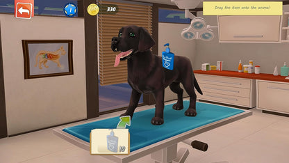 Animal Hospital Switch