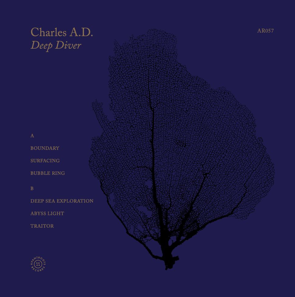 Deep Diver