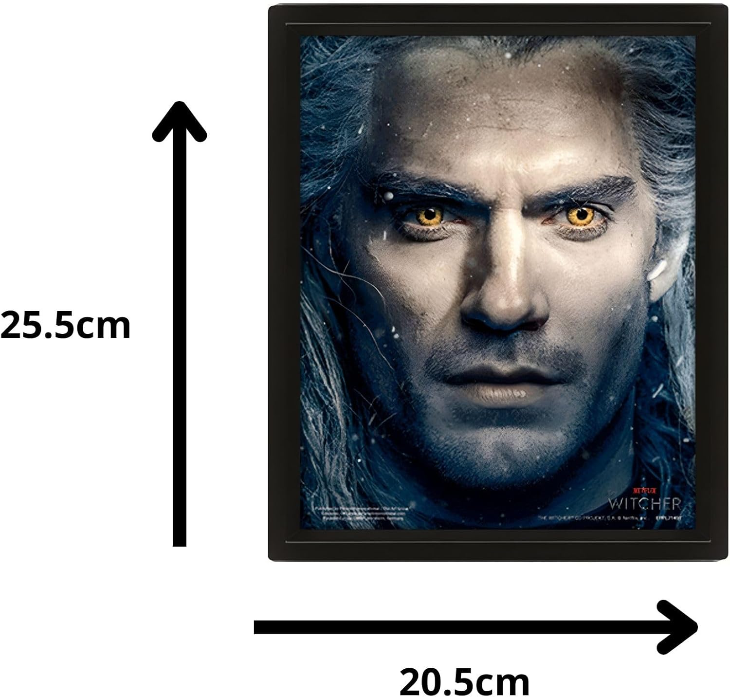 Quadro 3D The Witcher