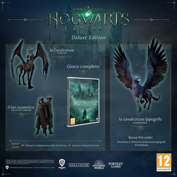 Hogwarts Legacy Deluxe Edition