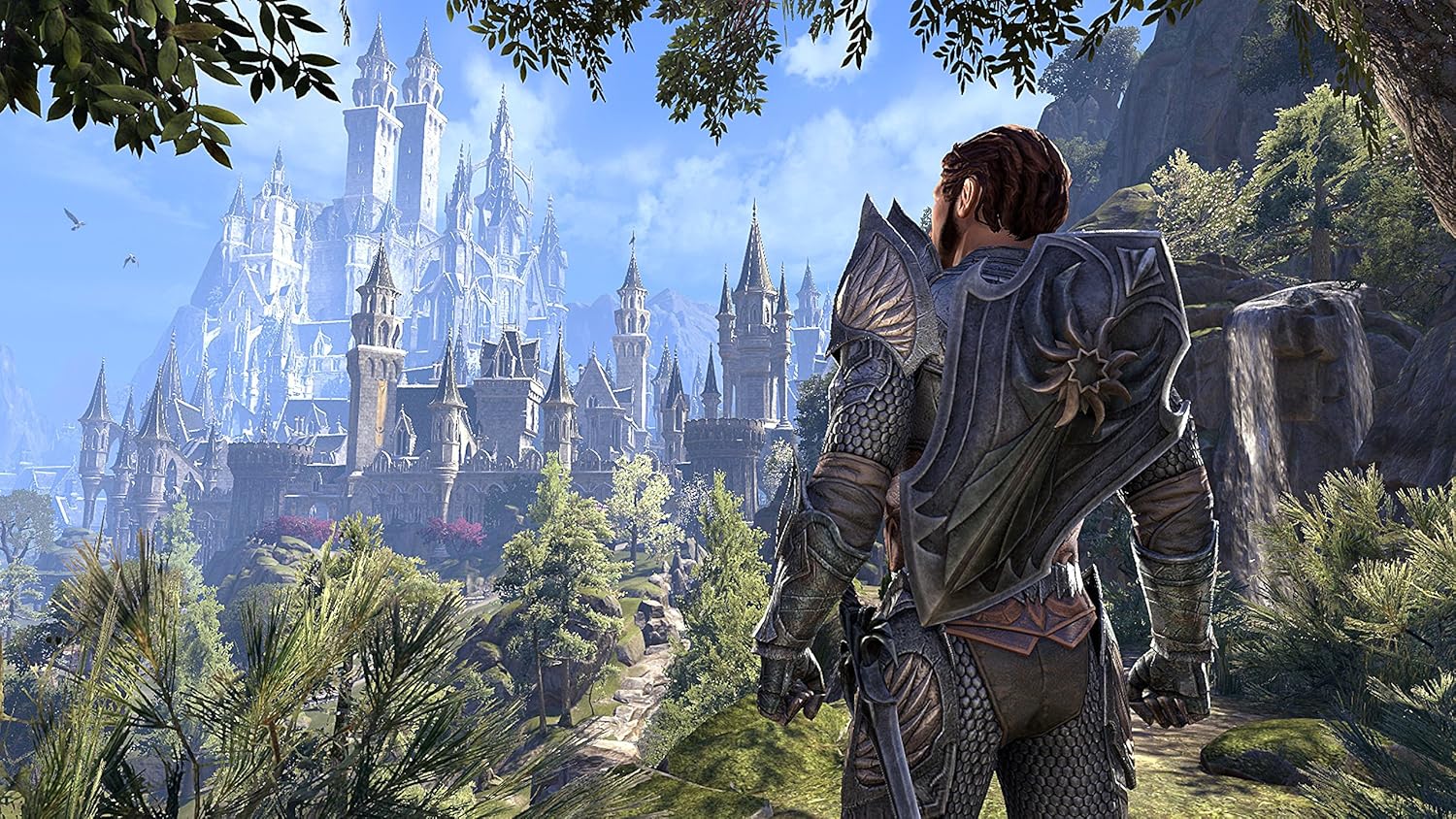 The Elder Scrolls Online - Summerset