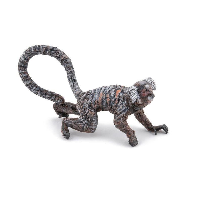 PAPO - Hand-Painted Figurine - Marmoset - Tropical Forest Animals - Collectible - for Children - Boys and Girls - Ages 3 and Up